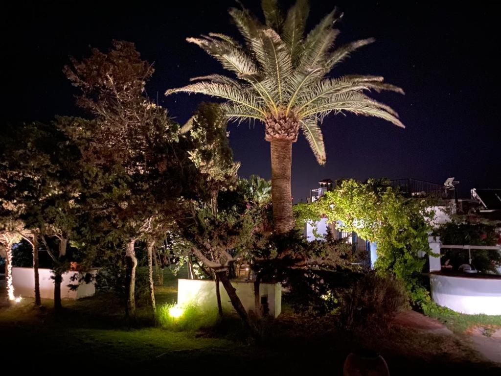 Hotel Banti Garden Tarifa Exterior foto