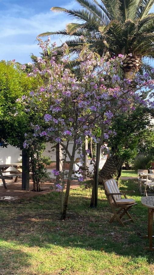 Hotel Banti Garden Tarifa Exterior foto